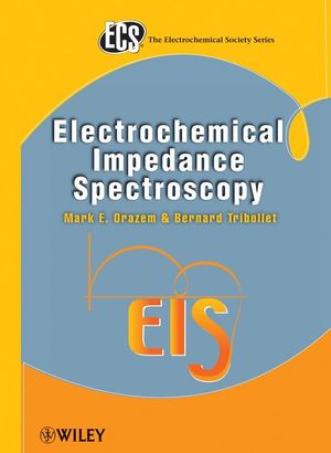Electrochemical nanotechnology : in-situ local probe techniques at electrochemical interfaces