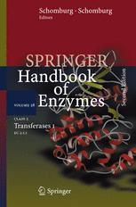 Class 2 - Transferases I