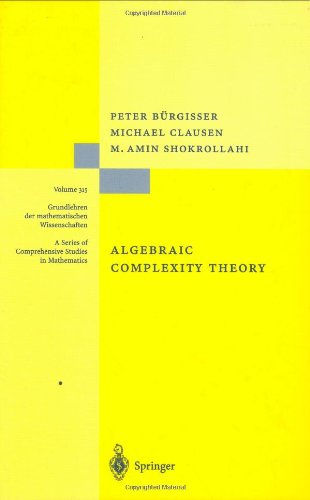 Algebraic Complexity Theory