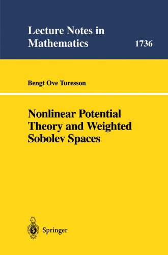 Nonlinear Potential Theory and Weighted Sobolev Spaces