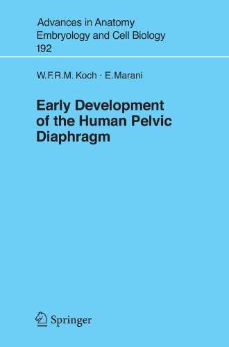 Early Development of the Human Pelvic Diaphragm (Advances in Anatomy, Embryology and Cell Biology)