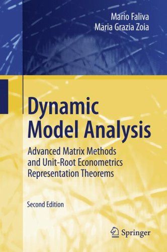 Dynamic Model Analysis