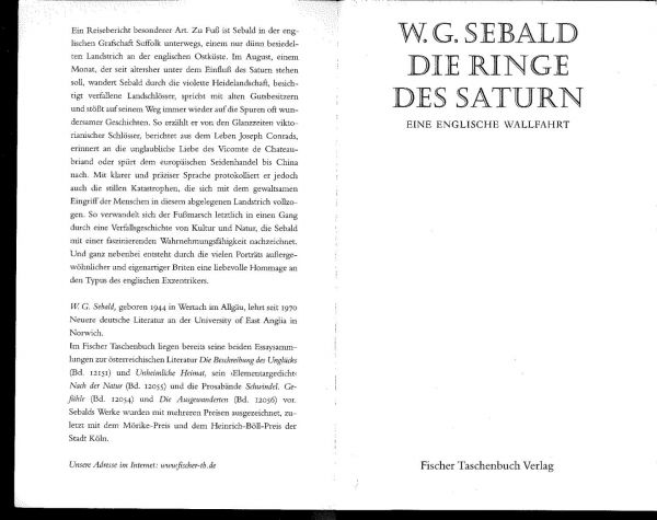 Die Ringe des Saturn