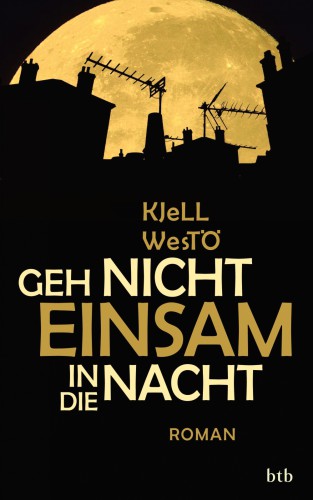 Geh nicht einsam in die Nacht : Roman