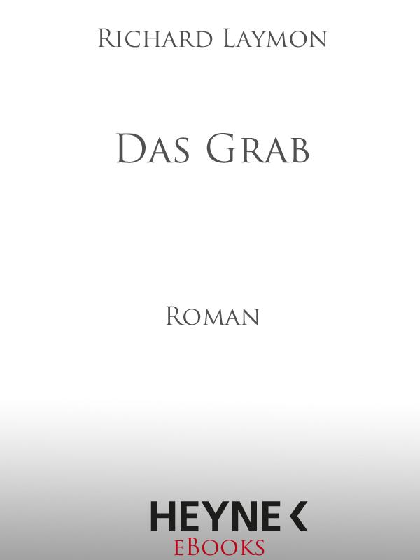 Das Grab Roman