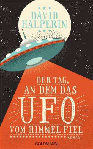 Der Tag, an dem das UFO vom Himmel fiel : Roman