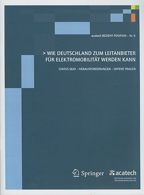 Wie Deutschland Zum Leitanbieter Fur Elektromobilitat Werden Kann