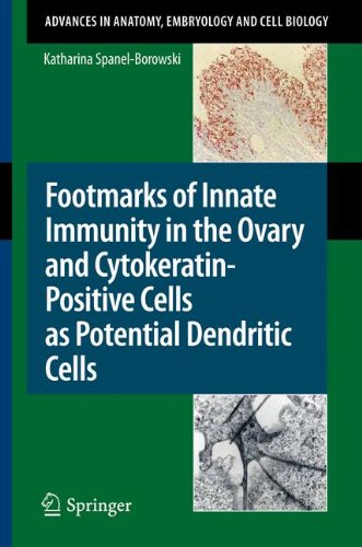 Footmarks of Innate Immunity in the Ovary and Cytokeratinpositive Cells as Potential Dendritic Cells