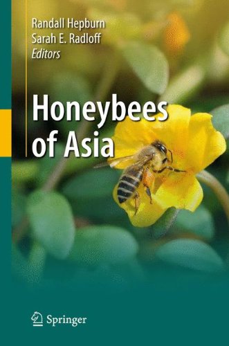 Honeybees of Asia