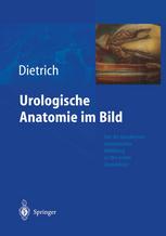 Urologische Anatomie im Bild von der künstlerisch-anatomischen Abbildung zu den ersten Operationen