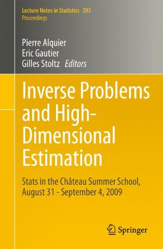 Inverse Problems And High Dimensional Estimation