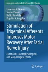 Stimulation of Trigeminal Afferents Improves Motor Recovery After Facial Nerve Injury Functional, Electrophysiological and Morphological Proofs