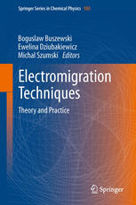 Electromigration Techniques Theory and Practice