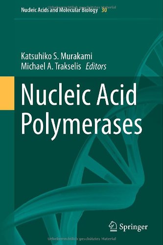 Nucleic Acid Polymerases