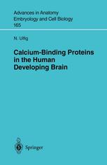 Calcium-Binding Proteins in the Human Developing Brain