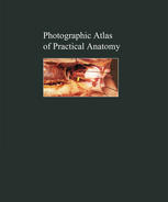 Photographic atlas of practical anatomy