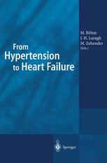 From Hypertension to Heart Failure