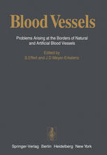 Blood Vessels Problems Arising at the Borders of Natural and Artificial Blood Vessels