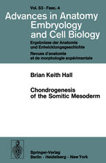 Chondrogenesis of the Somitic Mesoderm