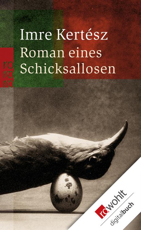 Roman eines Schicksallosen