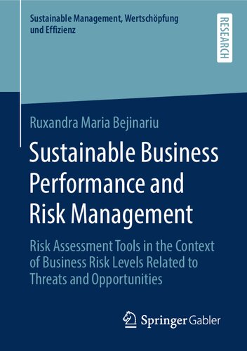 Sustainable Business Performance and Risk Management