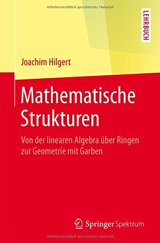 Mathematische Strukturen : Von der linearen Algebra über Ringen zur Geometrie mit Garben