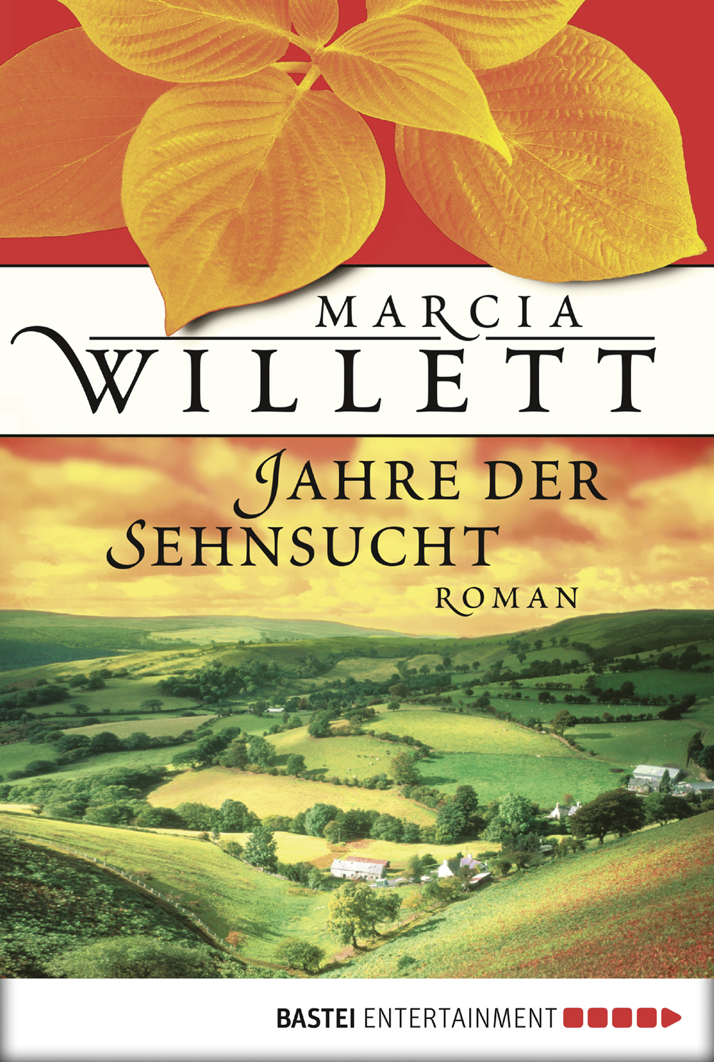 Jahre der Sehnsucht Roman