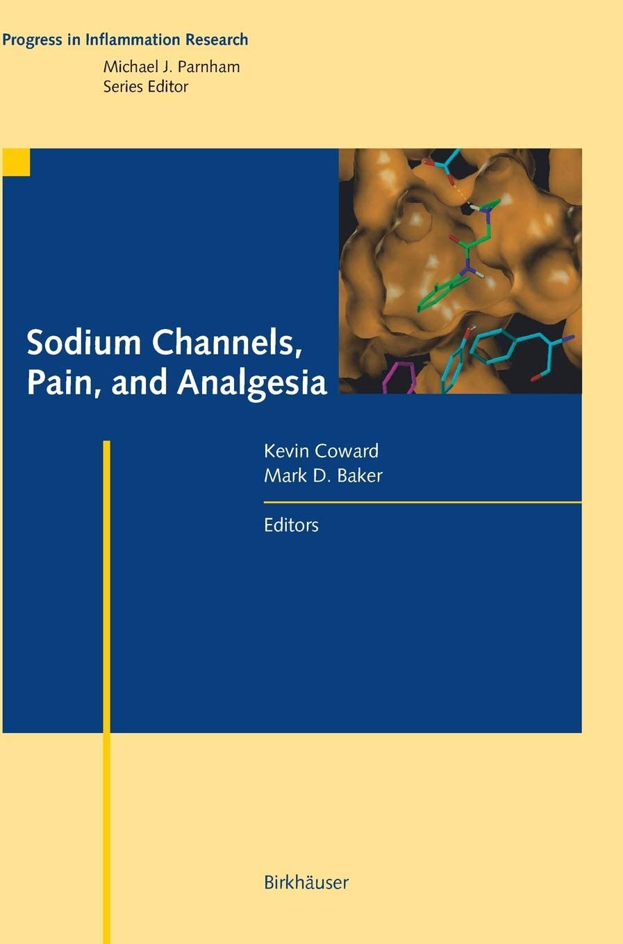 Sodium Channels, Pain, and Analgesia (Progress in Inflammation Research)