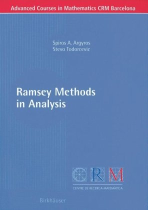 Ramsey Methods in Analysis