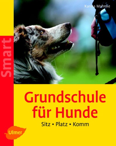 Grundschule für Hunde Sitz, Platz, Komm