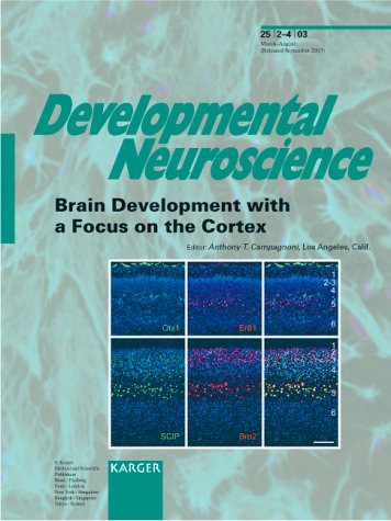 Brain Development with a Focus on the Cortex