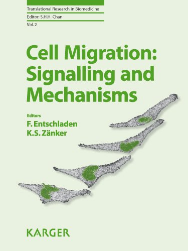 Cell Migration