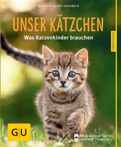 Unser Kätzchen Was Katzenkinder brauchen