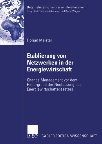 Etablierung Von Netzwerken in Der Energiewirtschaft