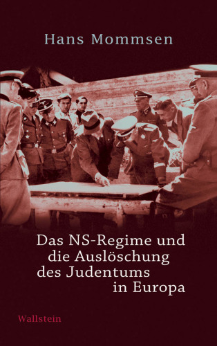 Bedrohung, Hoffnung, Skepsis : vier Tagebücher des Jahres 1933