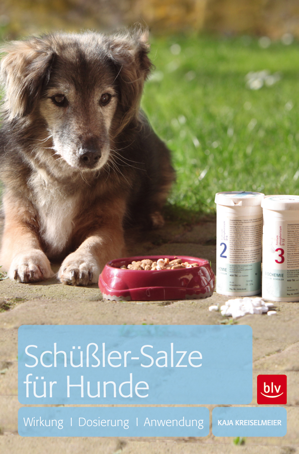 Schüßler-Salze für Hunde Wirkung * Dosierung * Anwendung