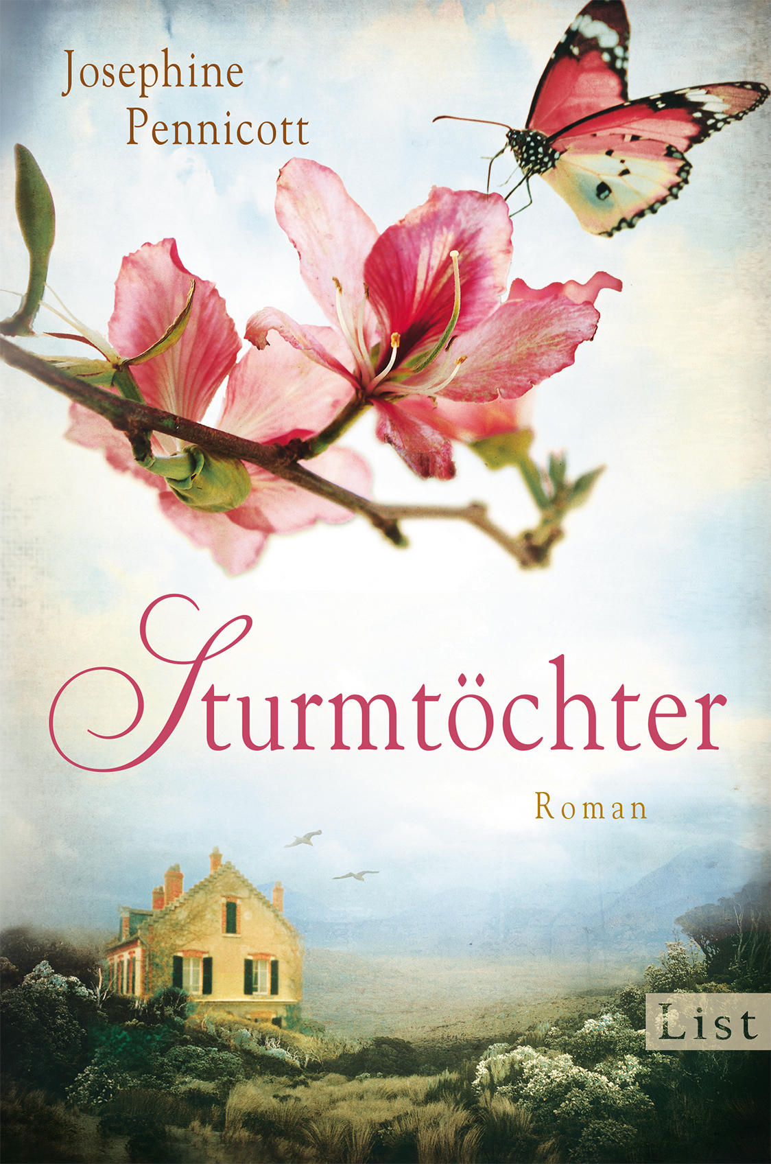 Sturmtöchter Roman