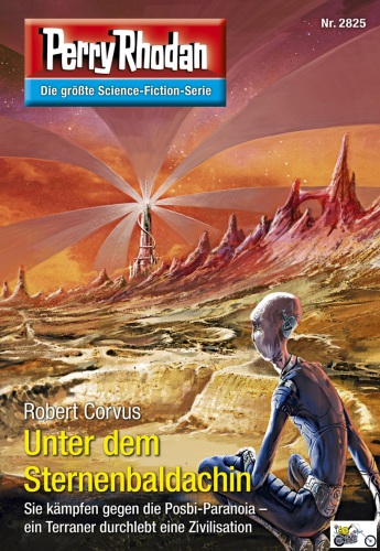 Perry Rhodan 2825: Unter dem Sternenbaldachin (Heftroman) Perry Rhodan-Zyklus "Die Jenzeitigen Lande"