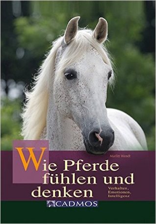 Wie Pferde Fühlen Und Denken Verhalten, Emotionen, Intelligenz