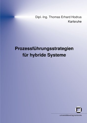 Prozessführungsstrategien für hybride Systeme