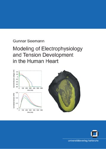 Modeling Of Electrophysiology And Tension Development In The Human Heart