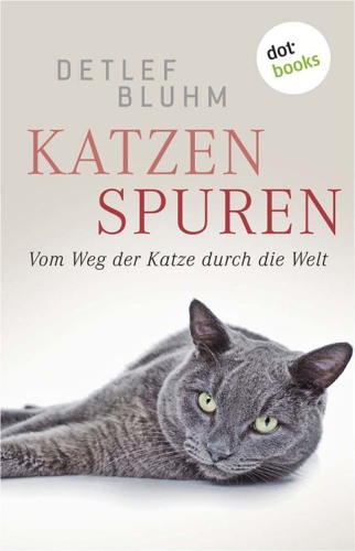 Katzenspuren Vom Weg der Katze durch die Welt