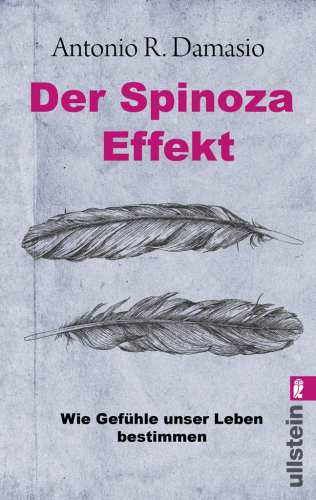 Der Spinoza-Effekt Wie Gefühle unser Leben bestimmen