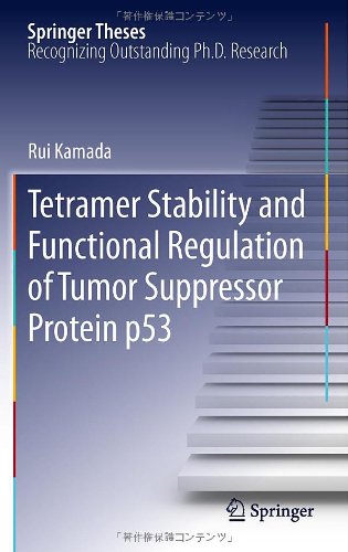 Tetramer Stability and Functional Regulation of Tumor Suppressor Protein P53