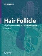 Hair Follicle