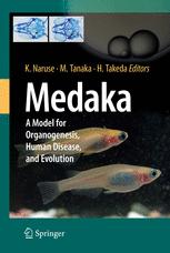 Medaka : a model for organogenesis, human disease, and evolution