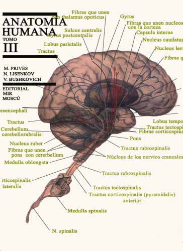 Anatomía humana