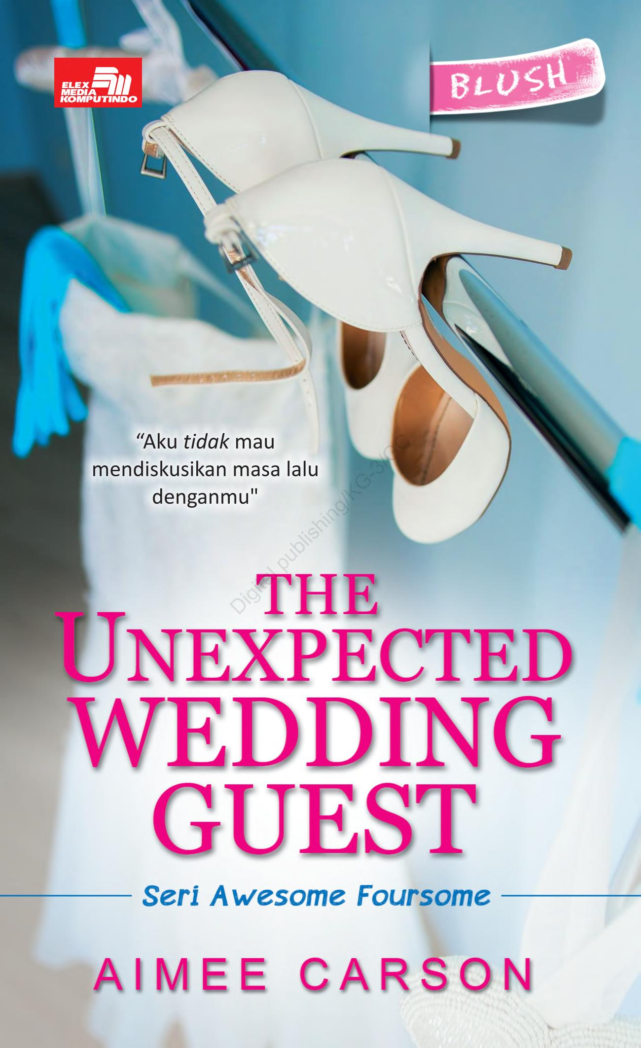 The Unexpected Wedding Guest