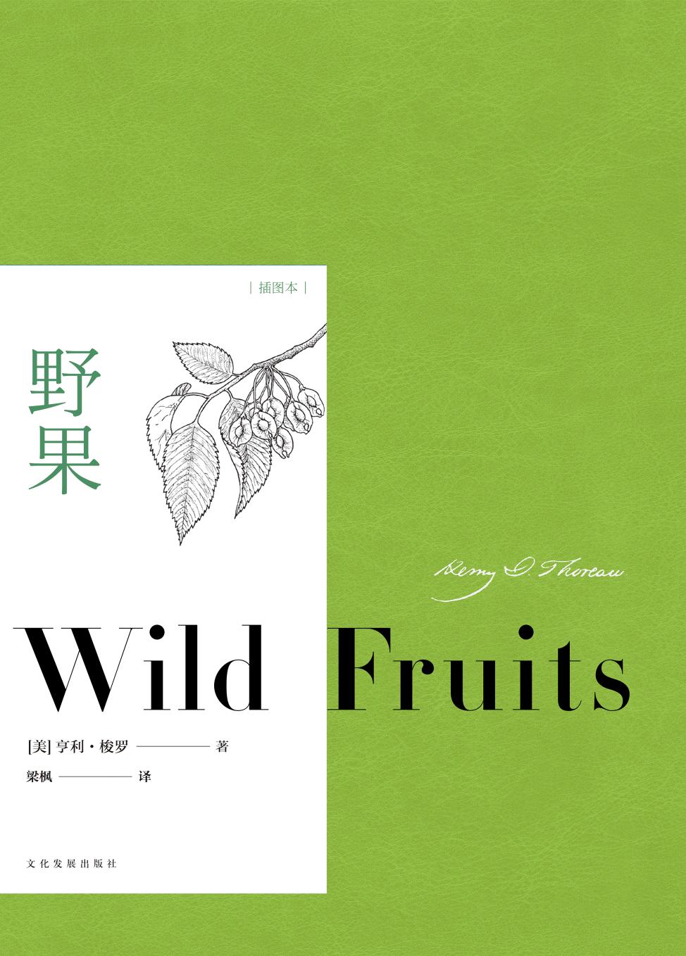 <div class=vernacular lang="zh">野果 : 插图本 = Wild fruits /</div>
Ye guo : Cha tu ben = Wild fruits