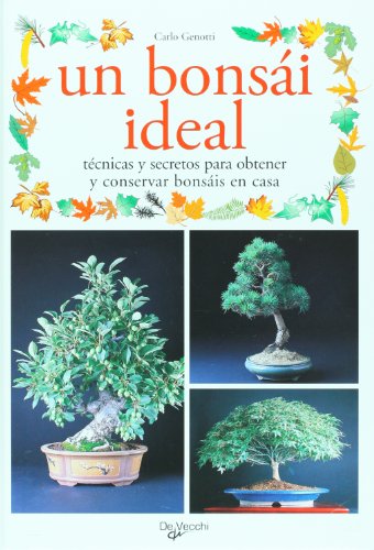 UN BONSAI IDEAL